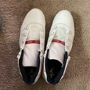 Air Jordan 11 “platinum tint”